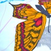 Комплект постельного белья сатин «Butterfly» TAC