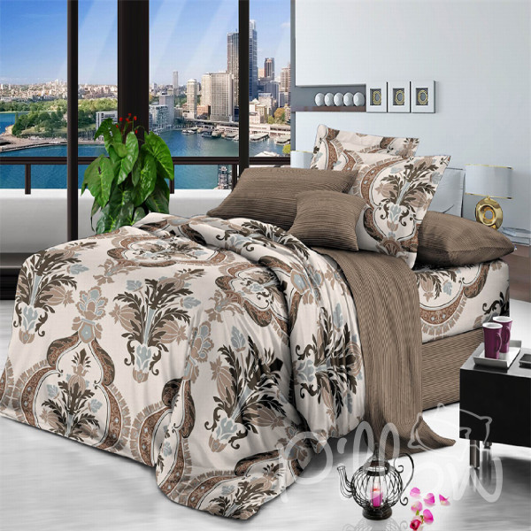 Комплект постельного белья поплин «1708-a-b» NazTextile